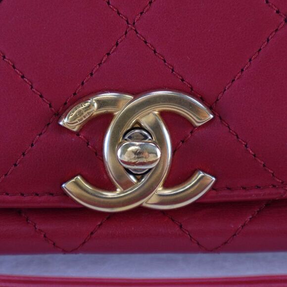 Chanel Medium Quilted Lambskin La Parisienne Flap - Picture 9 of 10